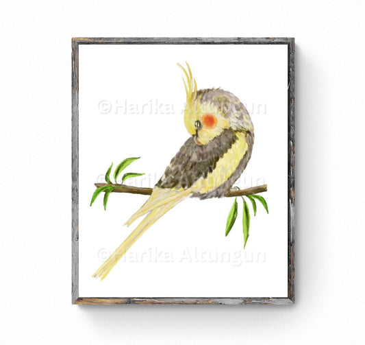 Sleeping Cockatiel Print, Pet Memorial Print, Parrot Painting, Bird Lover Art, Living Room Wall Art, Bird Mom Dad Gift, Birdwatcher Artwork - MerikaArt