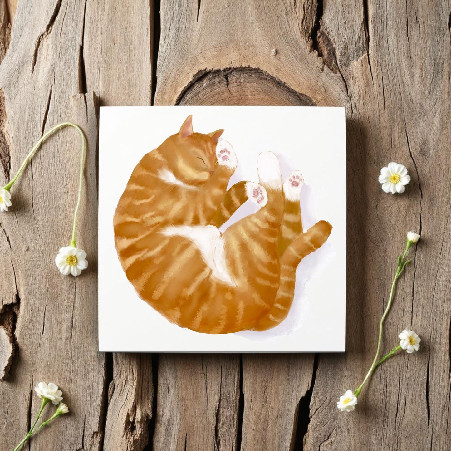 Sleeping Ginger Tabby Cat Ceramic Tile - MerikaArt