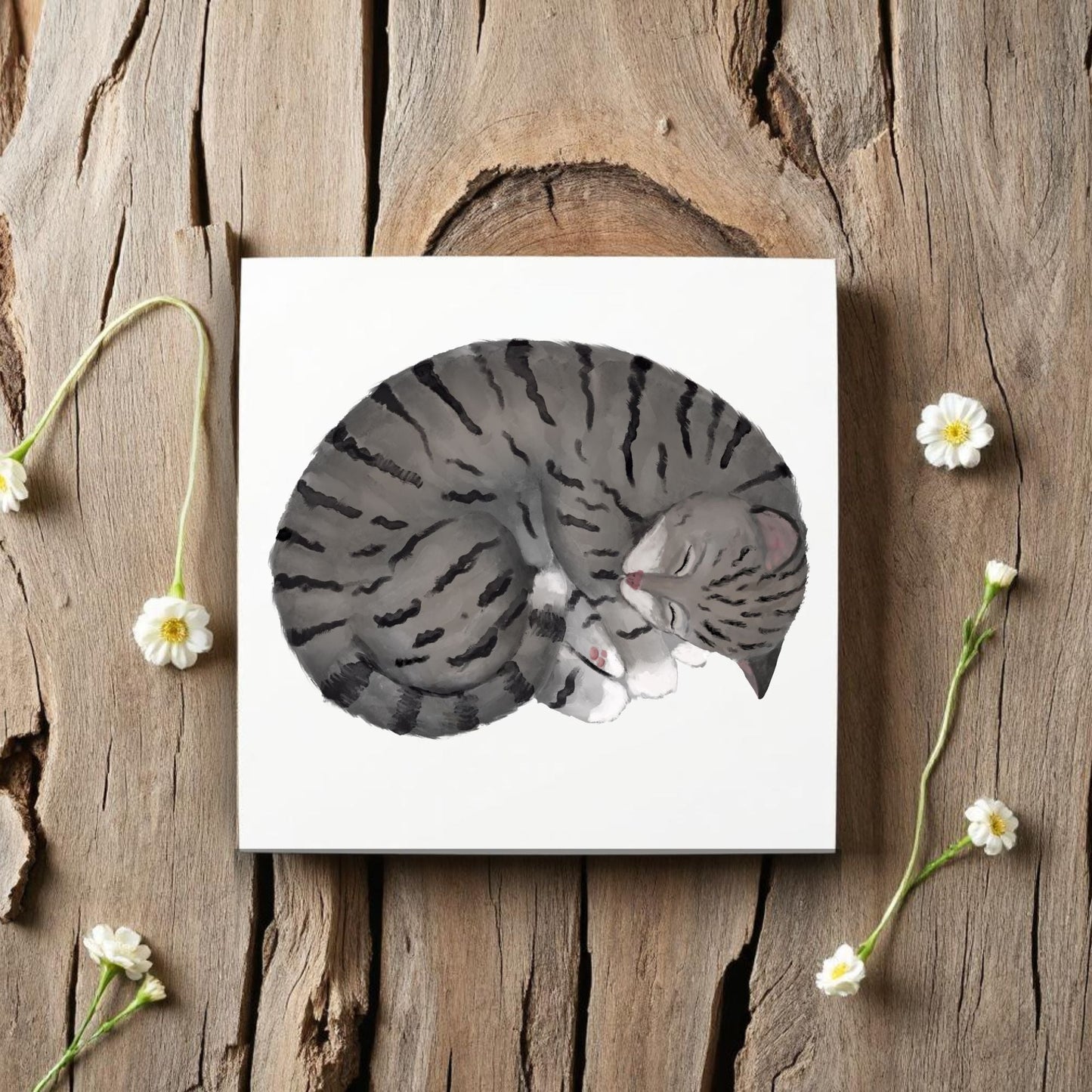 Sleeping Gray Tabby Cat Ceramic Tile - MerikaArt
