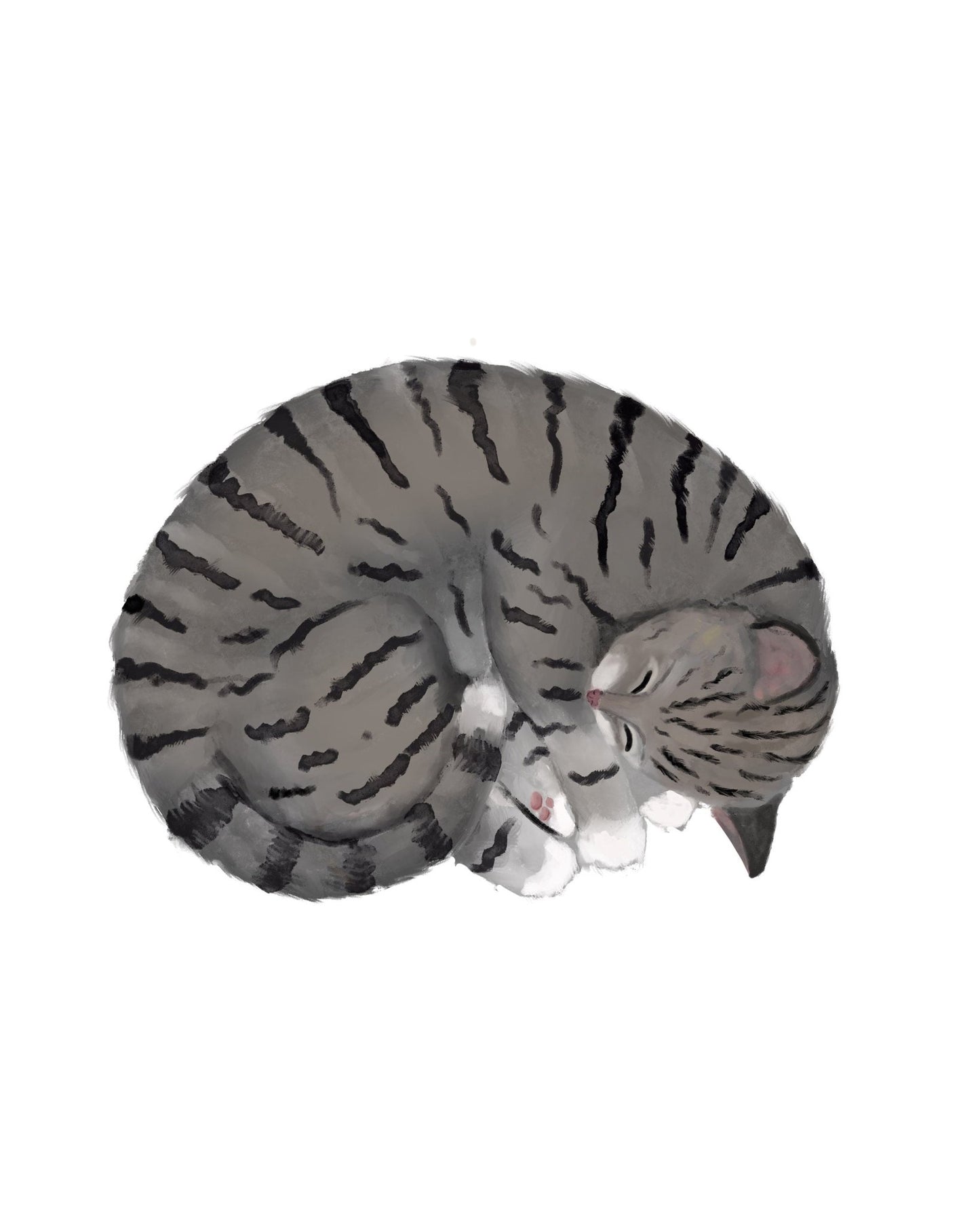 Sleeping Gray Tabby Cat Print - MerikaArt