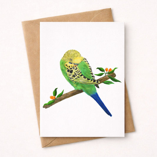 Sleeping Green Budgie Postcard - MerikaArt