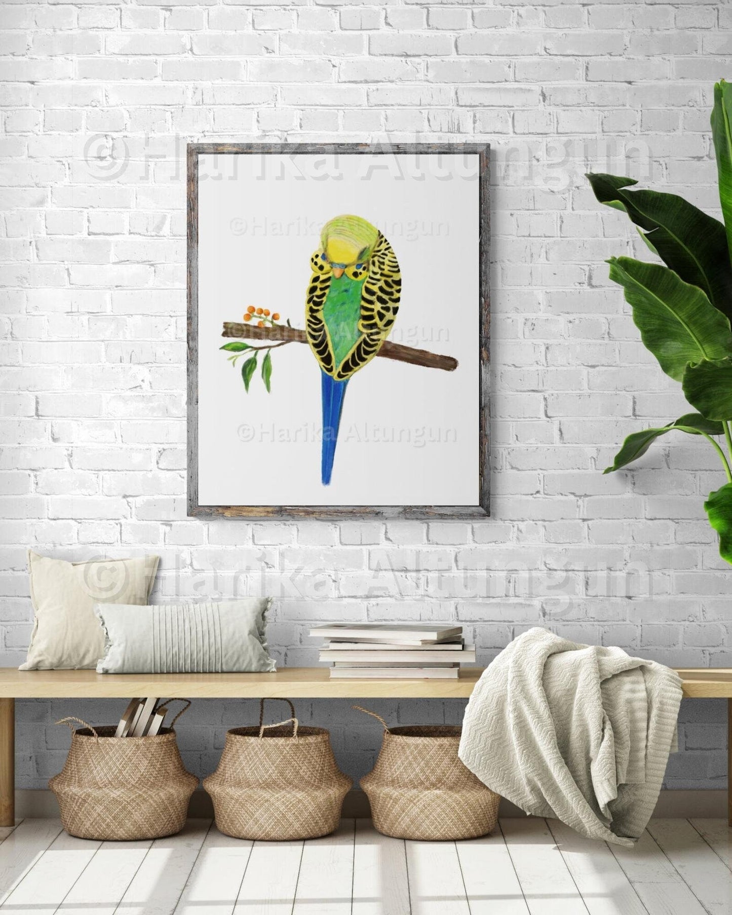 Sleeping Green Parakeet, Green Budgie Resting, Bird Memorial, Tropical Bird Art, Bird Lover Gift, Animal Wall Artwork, Bird Illustration - MerikaArt