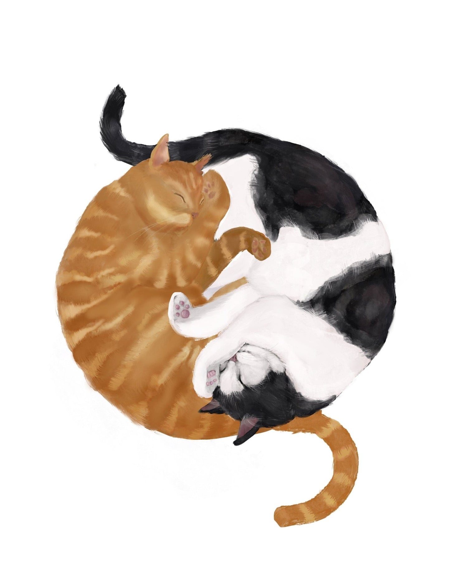 Sleeping Orange And Tuxedo Cat Print - MerikaArt