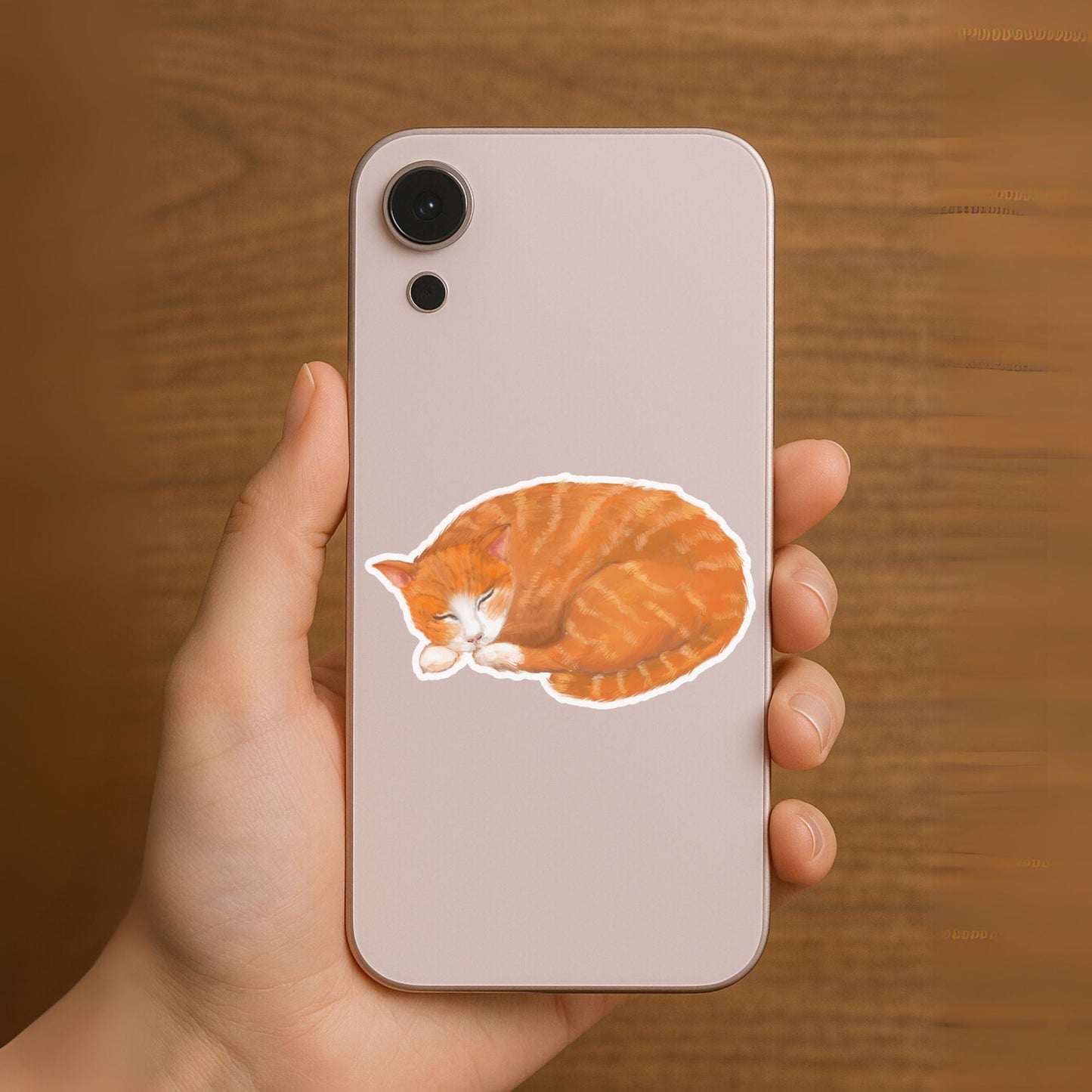 Sleeping Orange Tabby Cat Sticker - MerikaArt