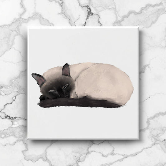 Sleeping Siamese Cat Ceramic Tile - MerikaArt