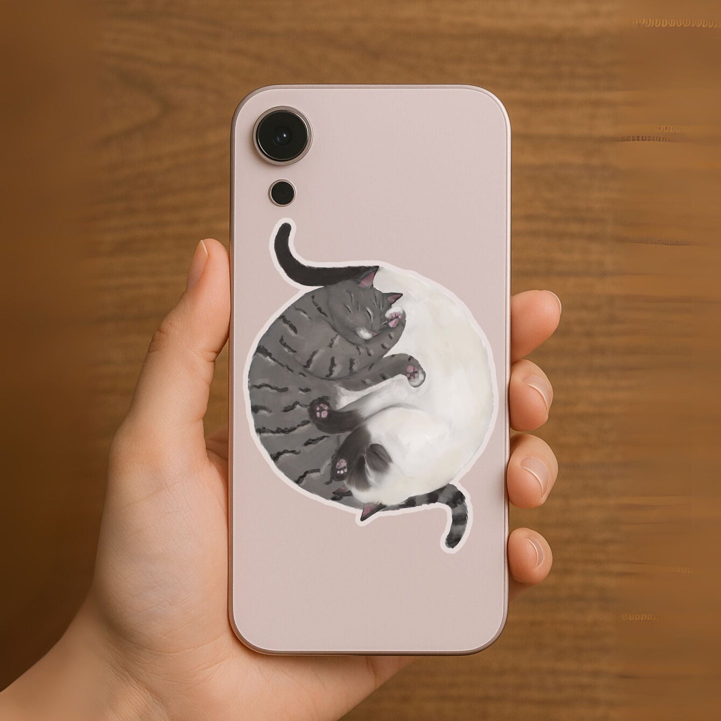 Sleeping Tabby And Siamese Cats Vinyl Sticker - MerikaArt