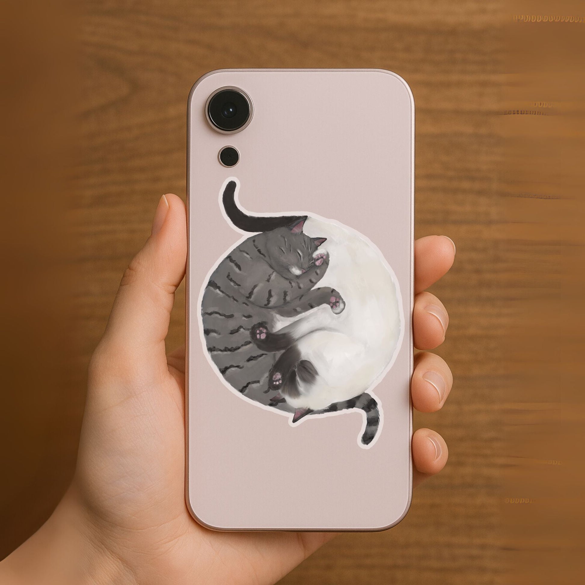 Sleeping Tabby And Siamese Cats Vinyl Sticker - MerikaArt