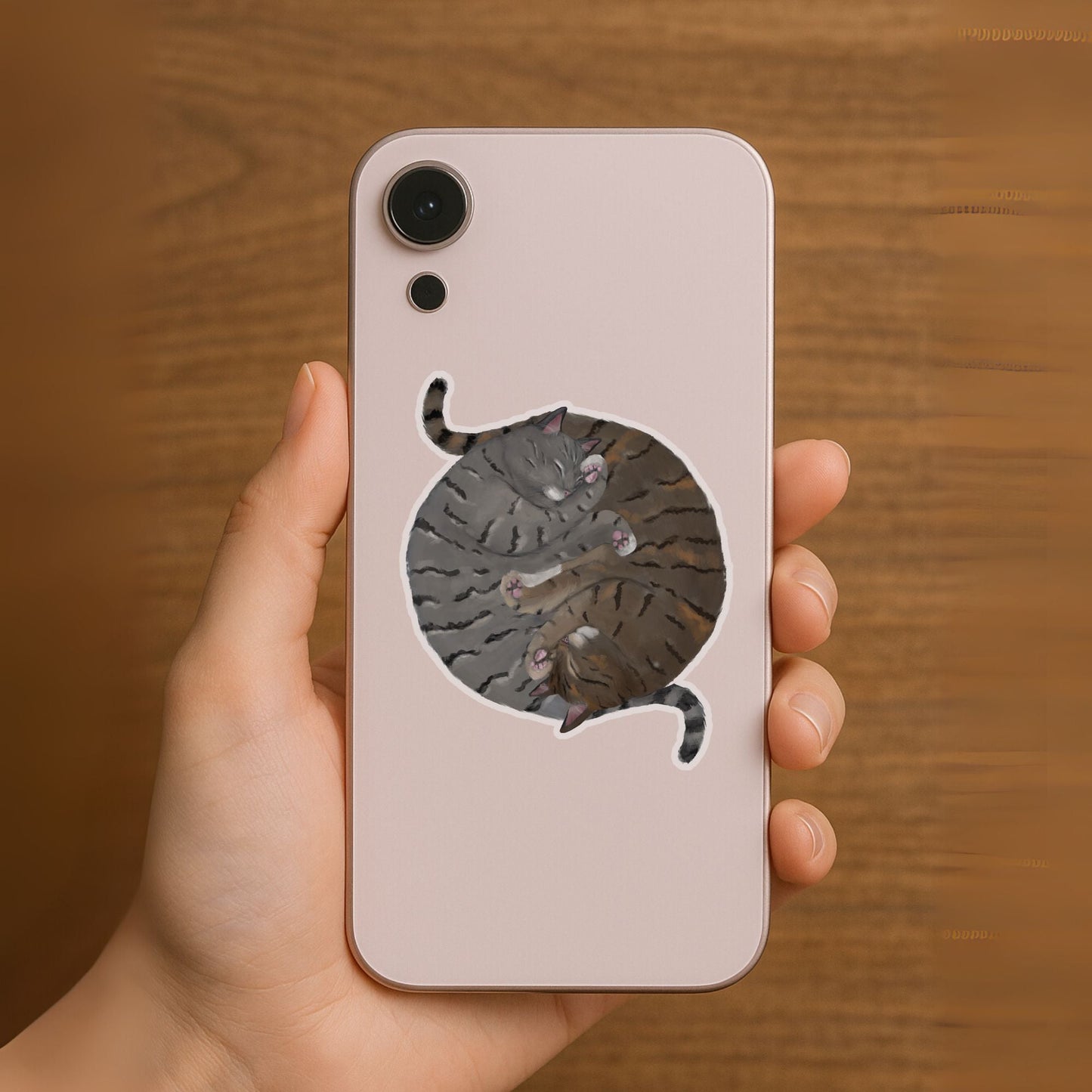 Sleeping Tabby Cats Circle Vinly Sticker - MerikaArt