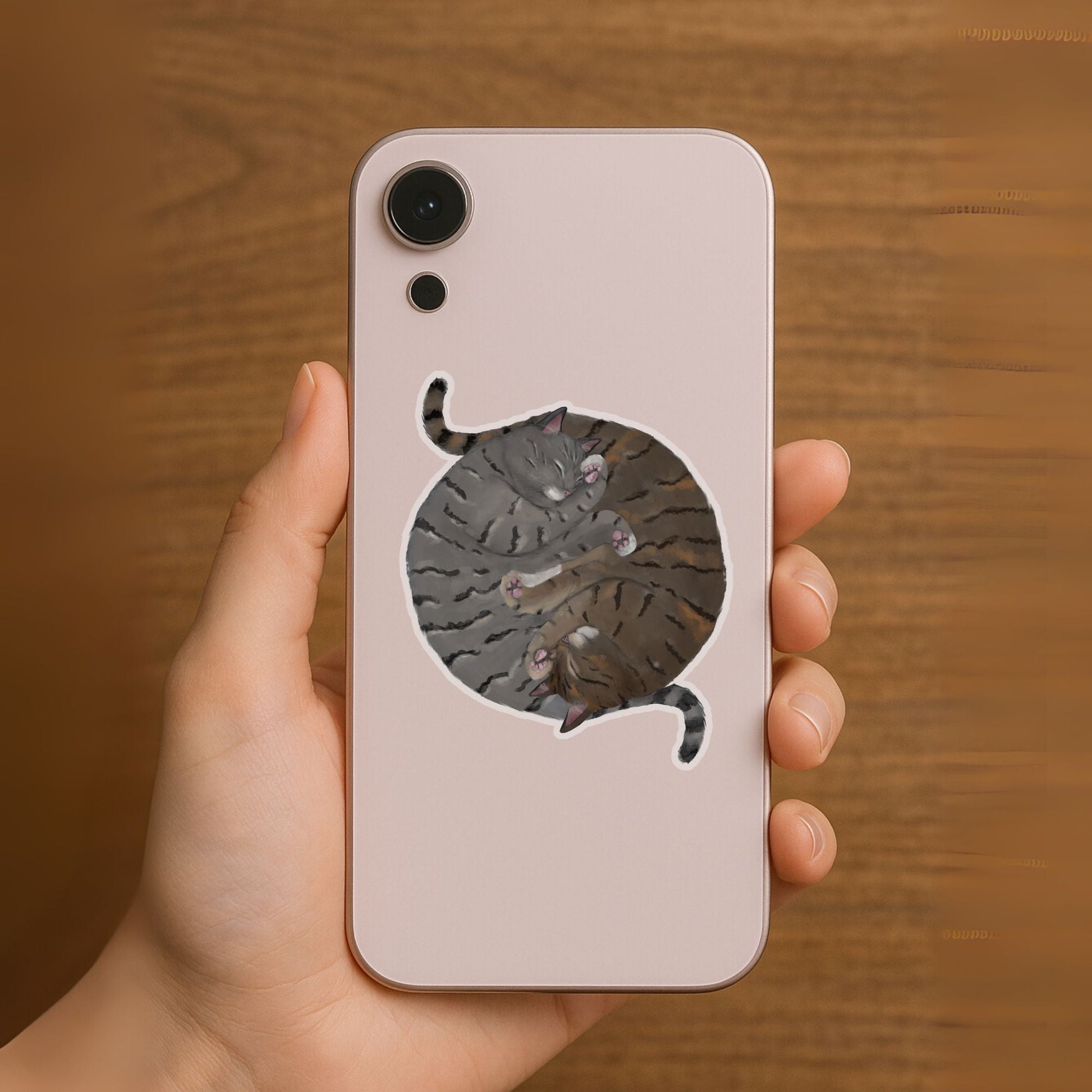 Sleeping Tabby Cats Circle Vinly Sticker - MerikaArt