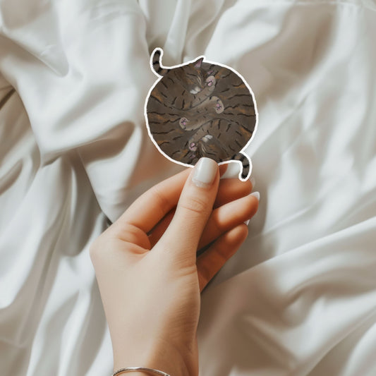 Sleeping Tabby Cats Vinyl Sticker - MerikaArt