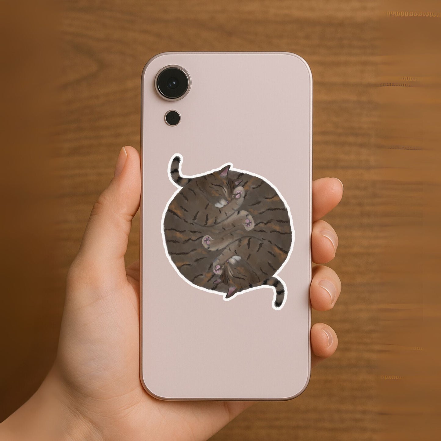 Sleeping Tabby Cats Vinyl Sticker - MerikaArt