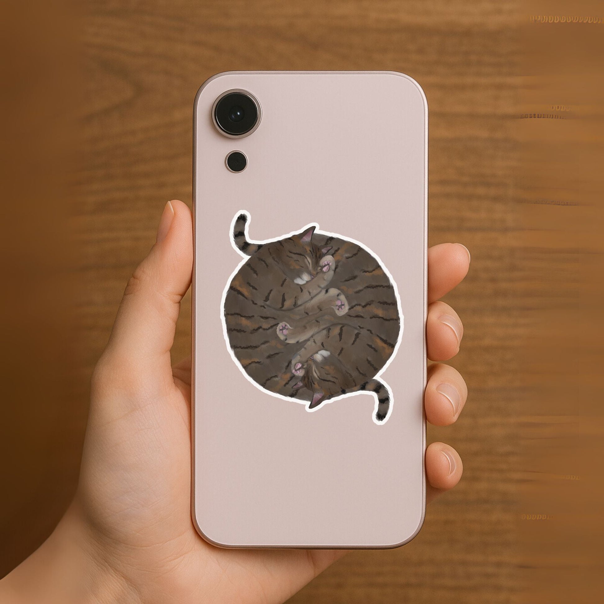 Sleeping Tabby Cats Vinyl Sticker - MerikaArt