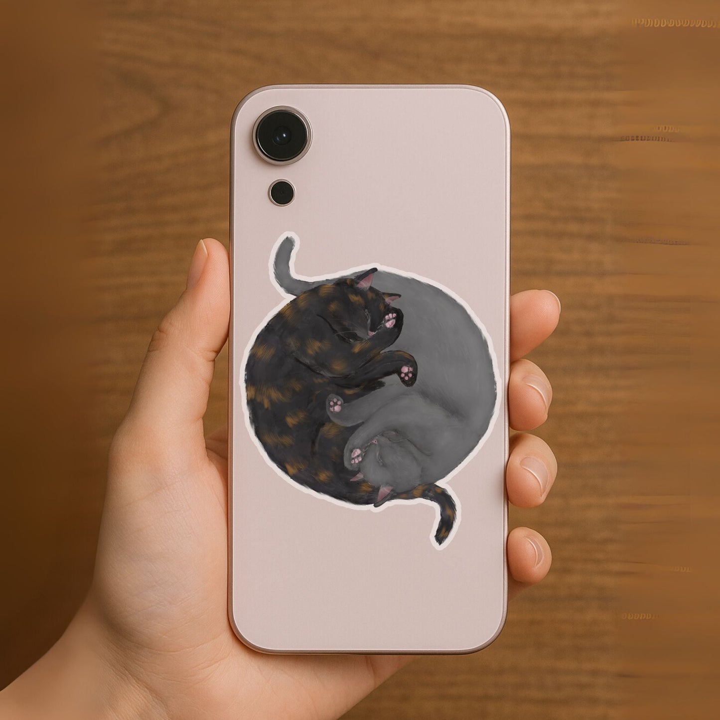 Sleeping Tortoiseshell And Gray Cats Vinyl Sticker - MerikaArt