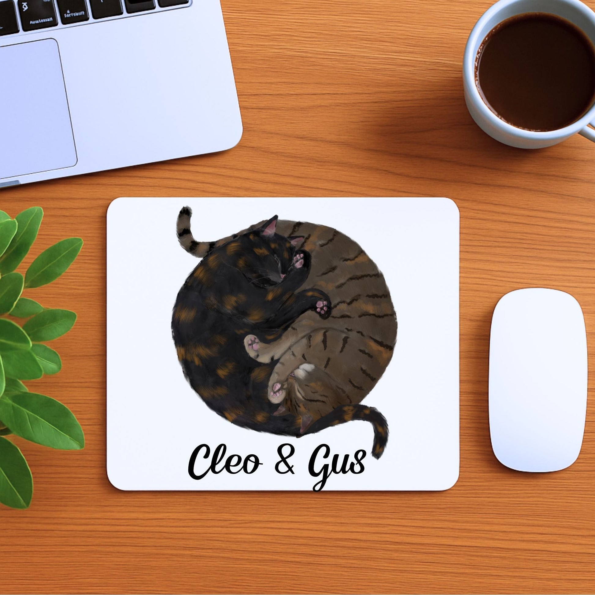 Sleeping Tortoiseshell and Tabby Cats Mousepad - MerikaArt