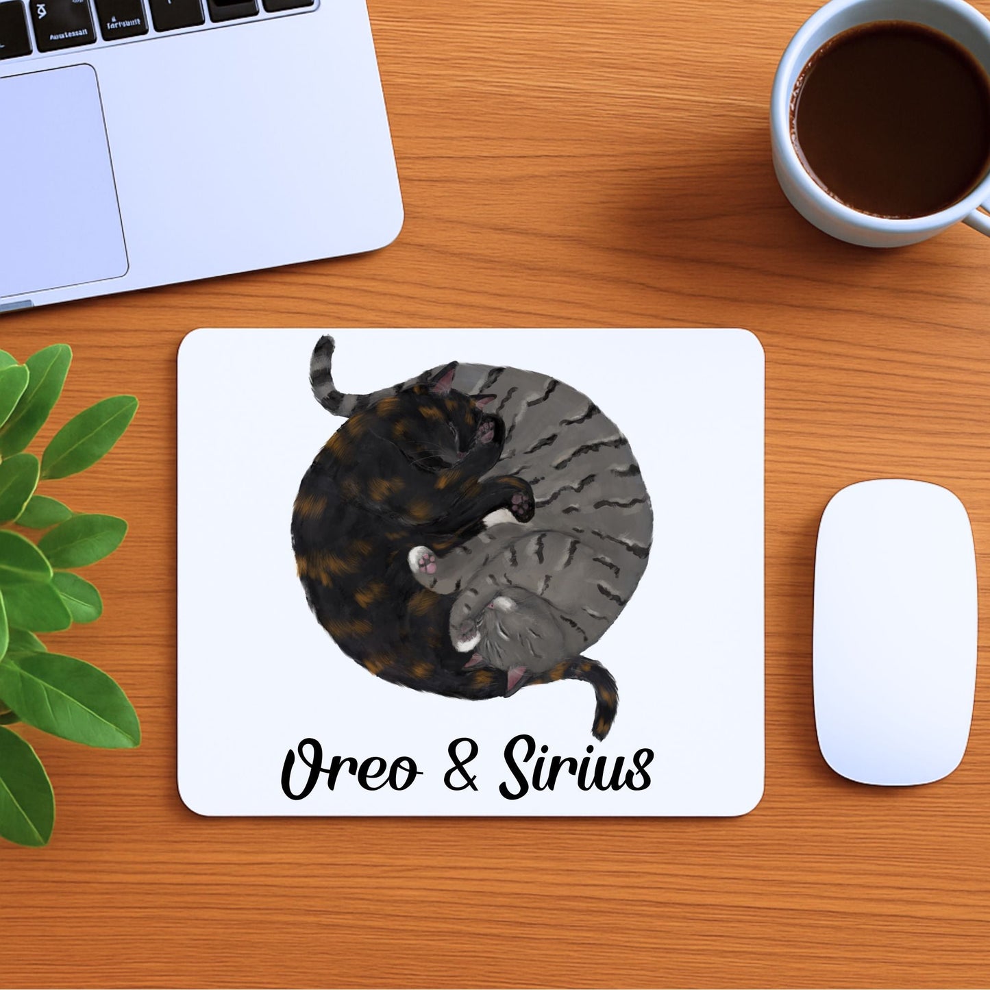 Sleeping Tortoiseshell and Tabby Cats Mousepad - MerikaArt