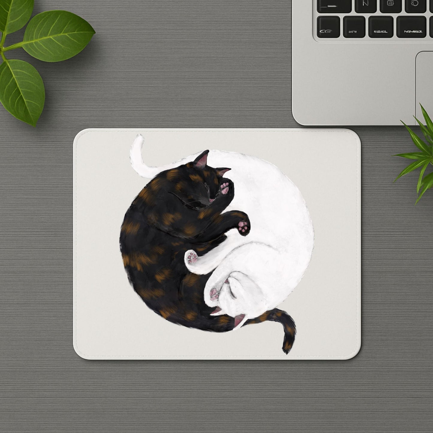 Sleeping Tortoiseshell and White Cats Mousepad - MerikaArt