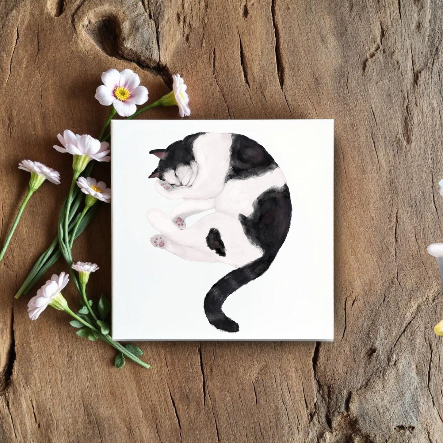 Sleeping Tuxedo Cat Ceramic Tile - MerikaArt