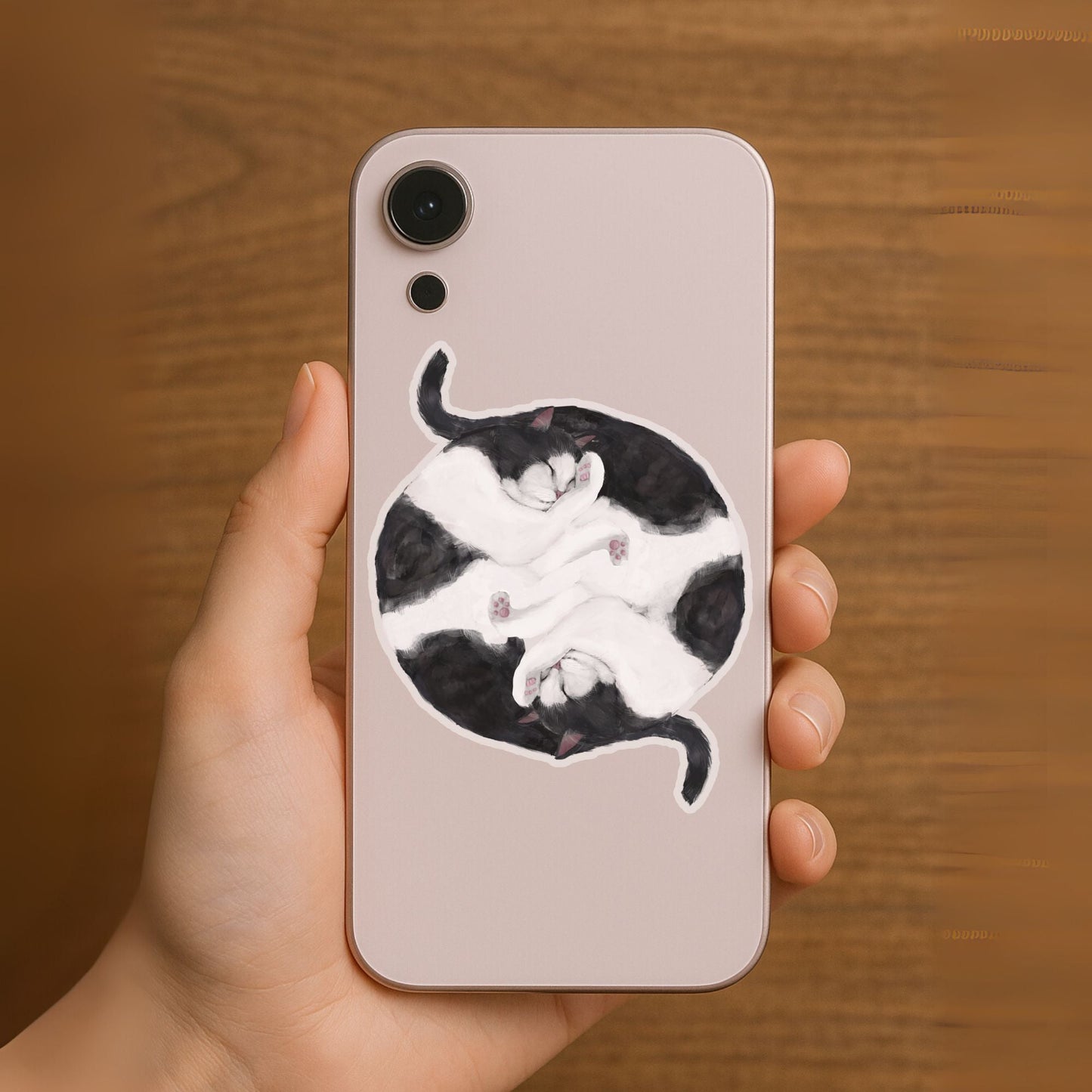 Sleeping Tuxedo Cats Vinyl Sticker - MerikaArt