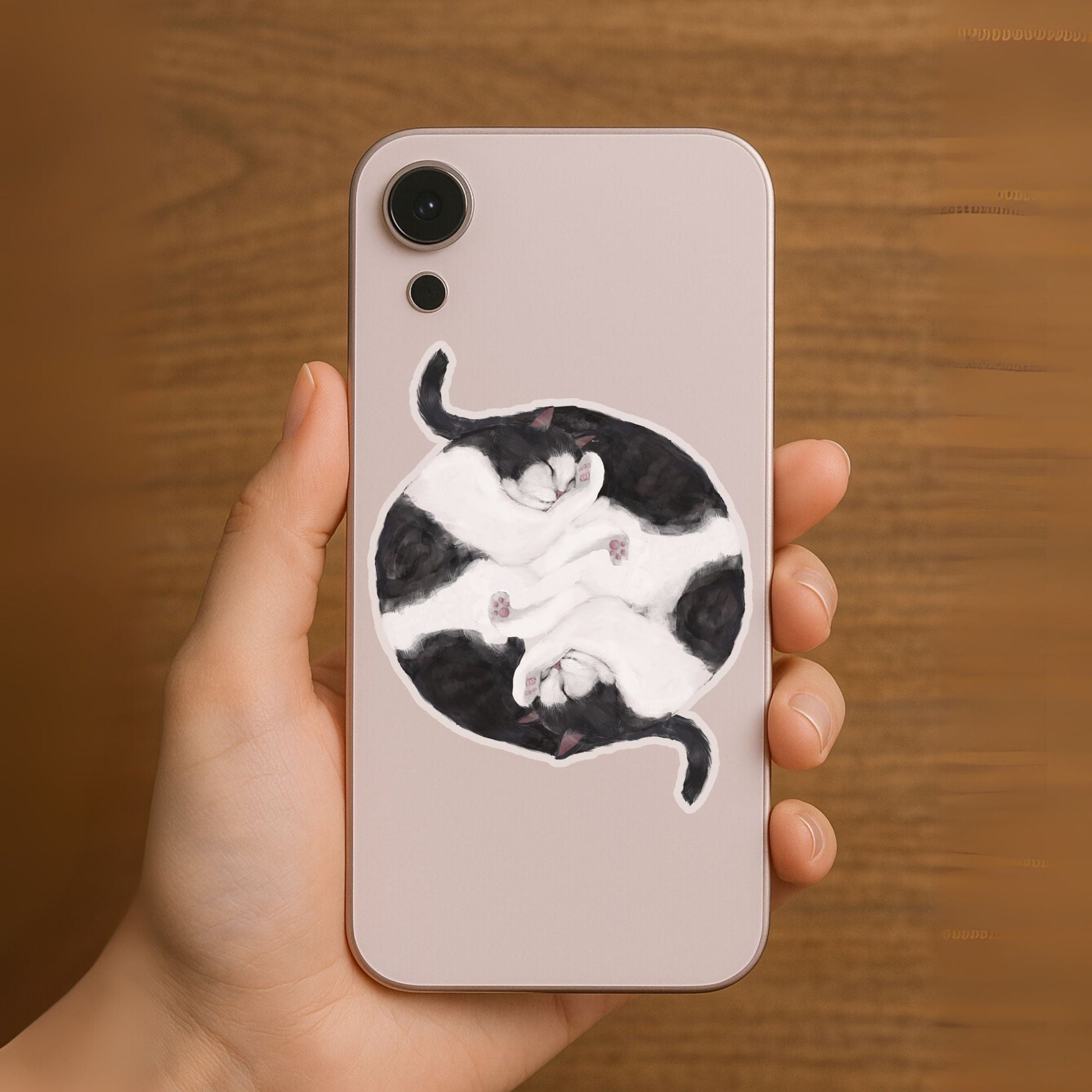 Sleeping Tuxedo Cats Vinyl Sticker - MerikaArt