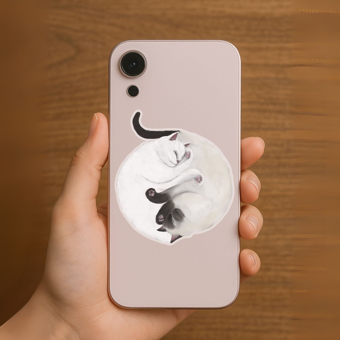 Sleeping White And Siamese Cats Vinyl Sticker - MerikaArt