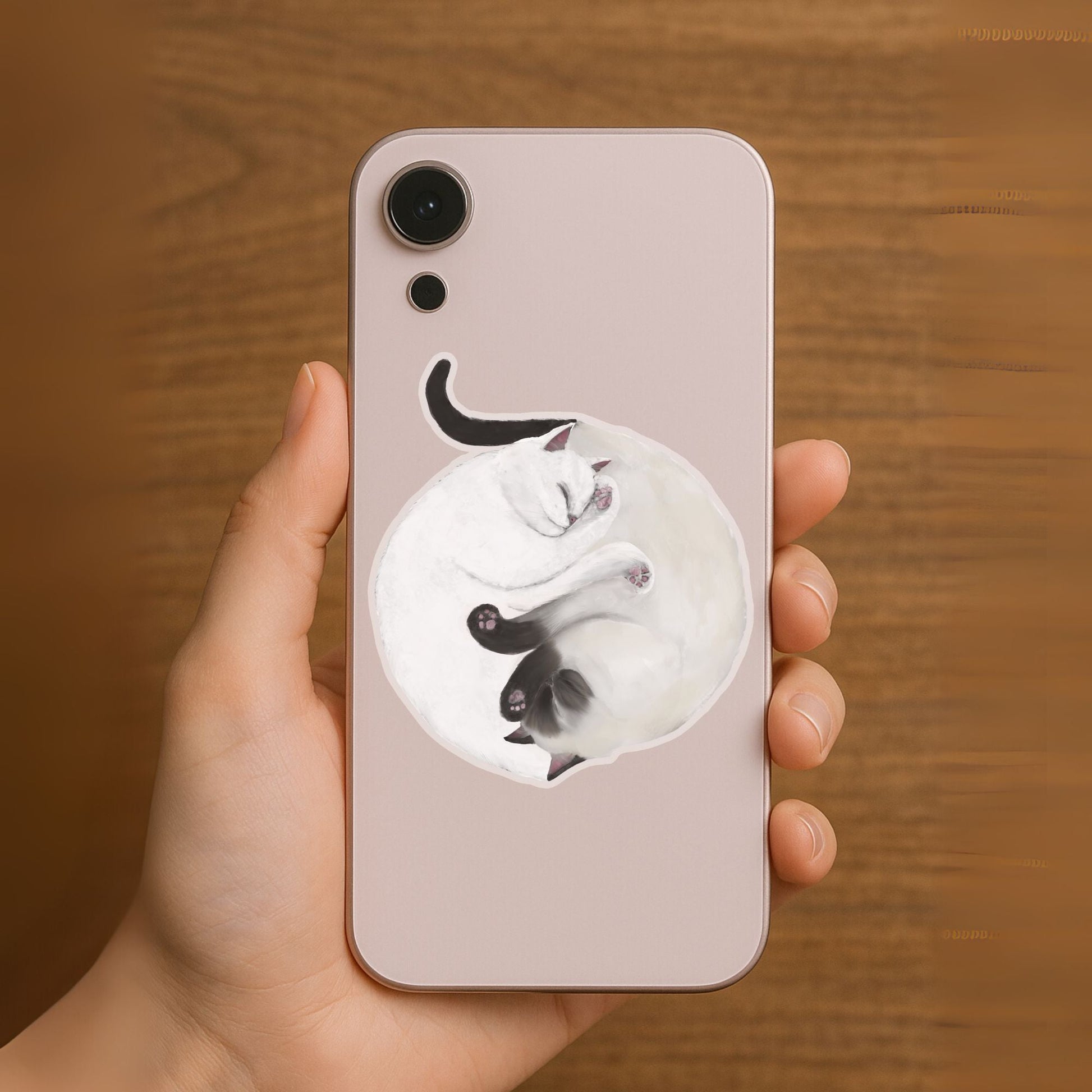 Sleeping White And Siamese Cats Vinyl Sticker - MerikaArt