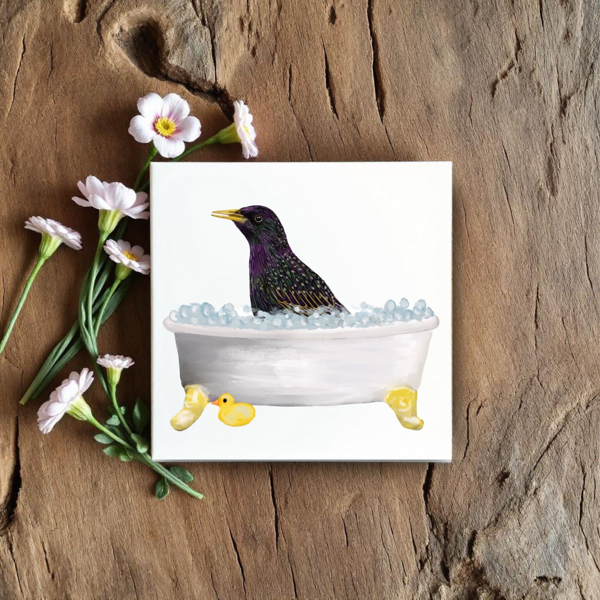 Starling in Bathtub Ceramic Tile – Handcrafted Whimsical Bird Decor - MerikaArt