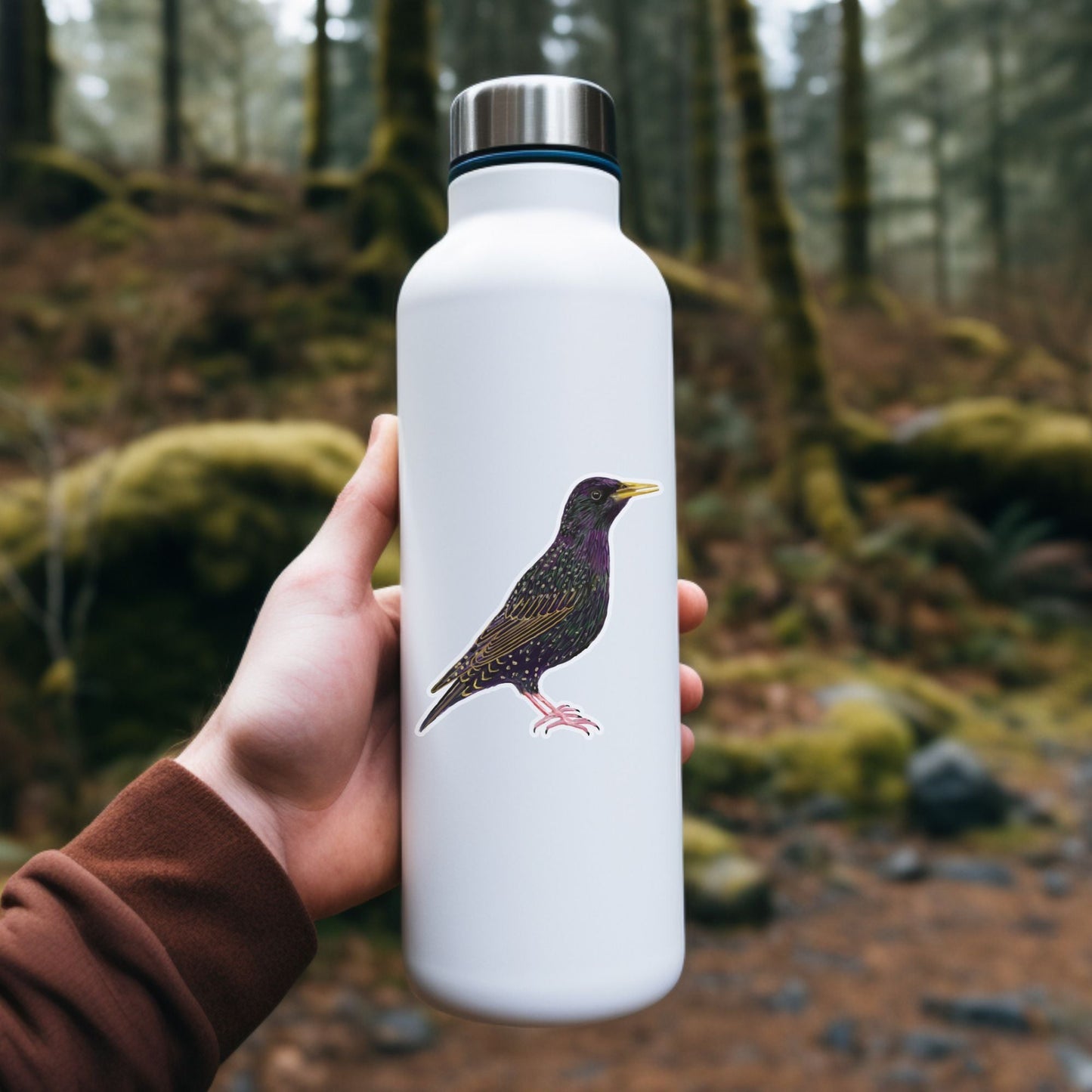 Starling Sticker - MerikaArt