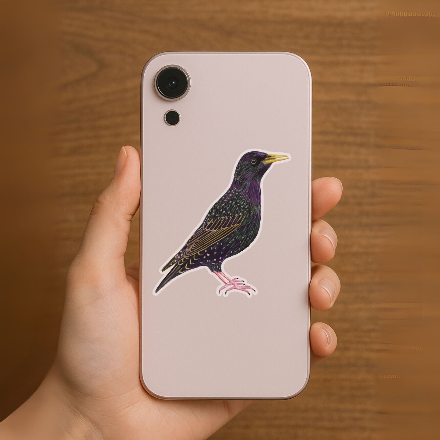 Starling Sticker - MerikaArt