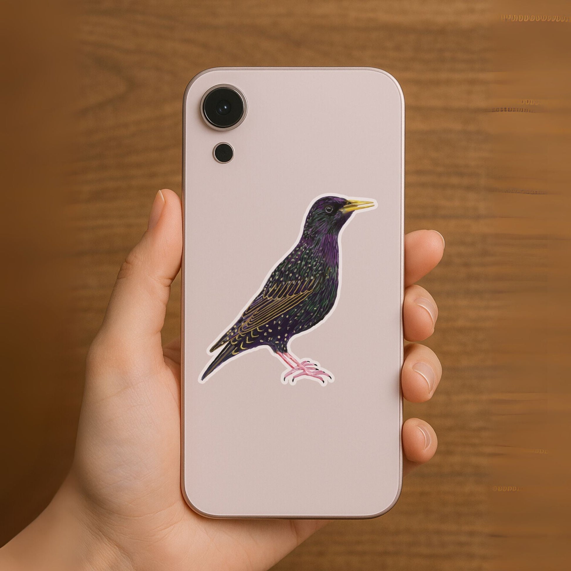 Starling Sticker - MerikaArt