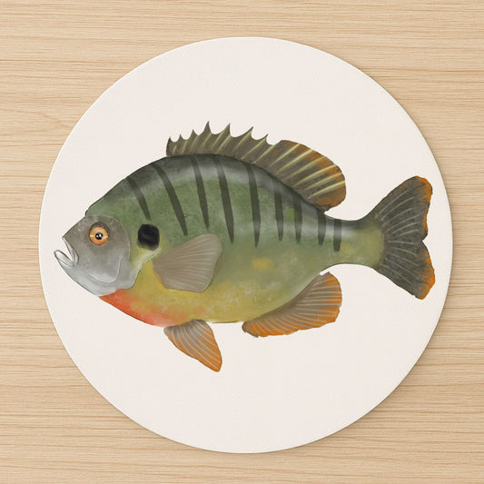 Striped Sunfish Mousepad - MerikaArt