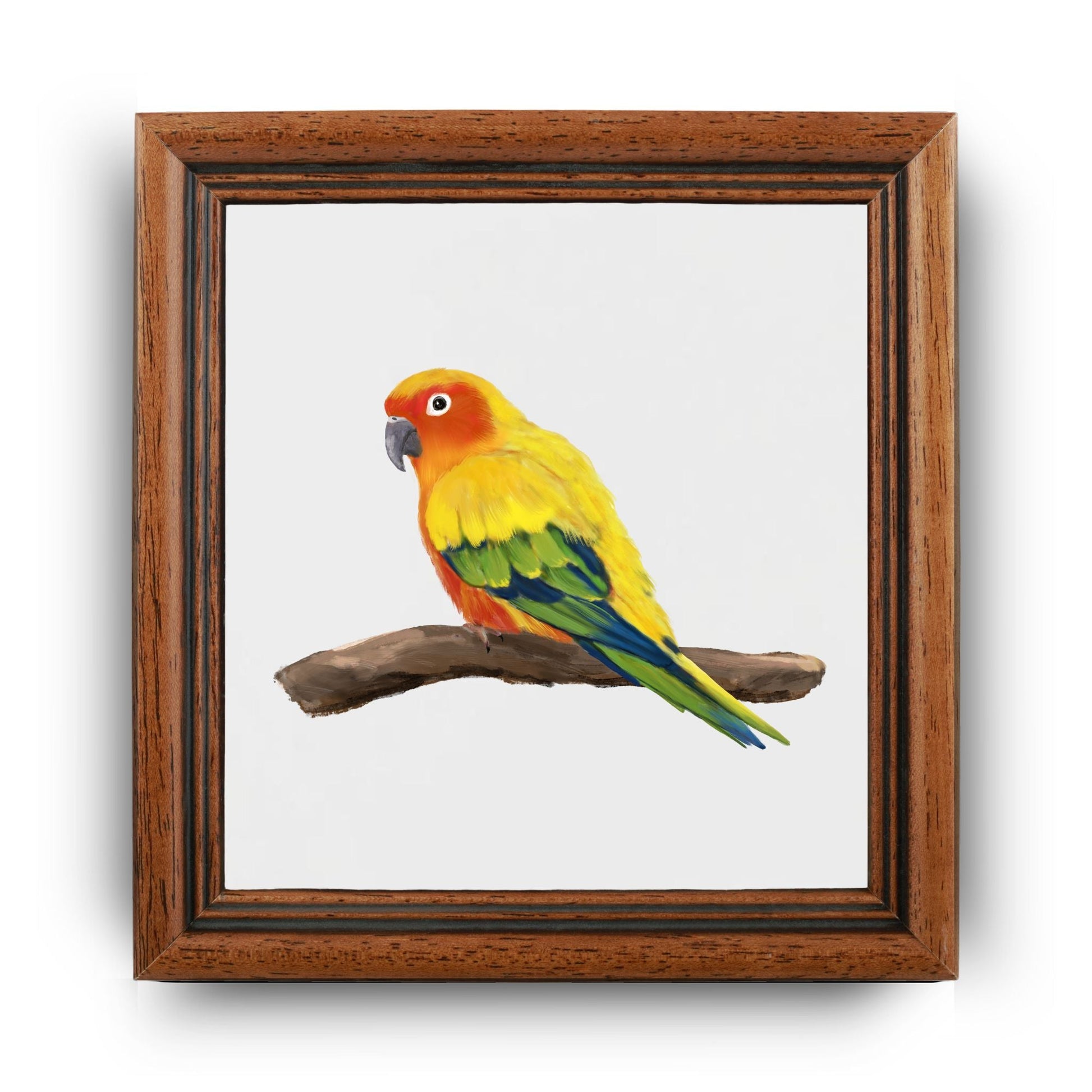 Sun Conure Ceramic Tile – Vibrant Handcrafted Bird Artwork - MerikaArt