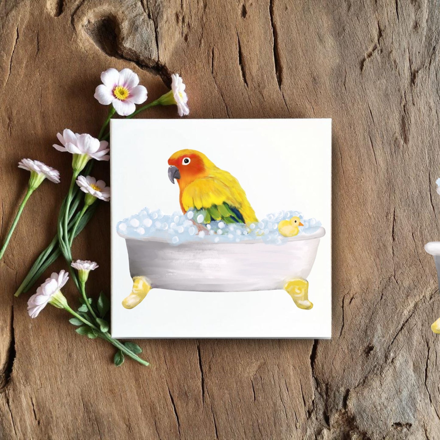 Sun Conure in Bathtub Ceramic Tile – Handcrafted Whimsical Bird Art Decor - MerikaArt