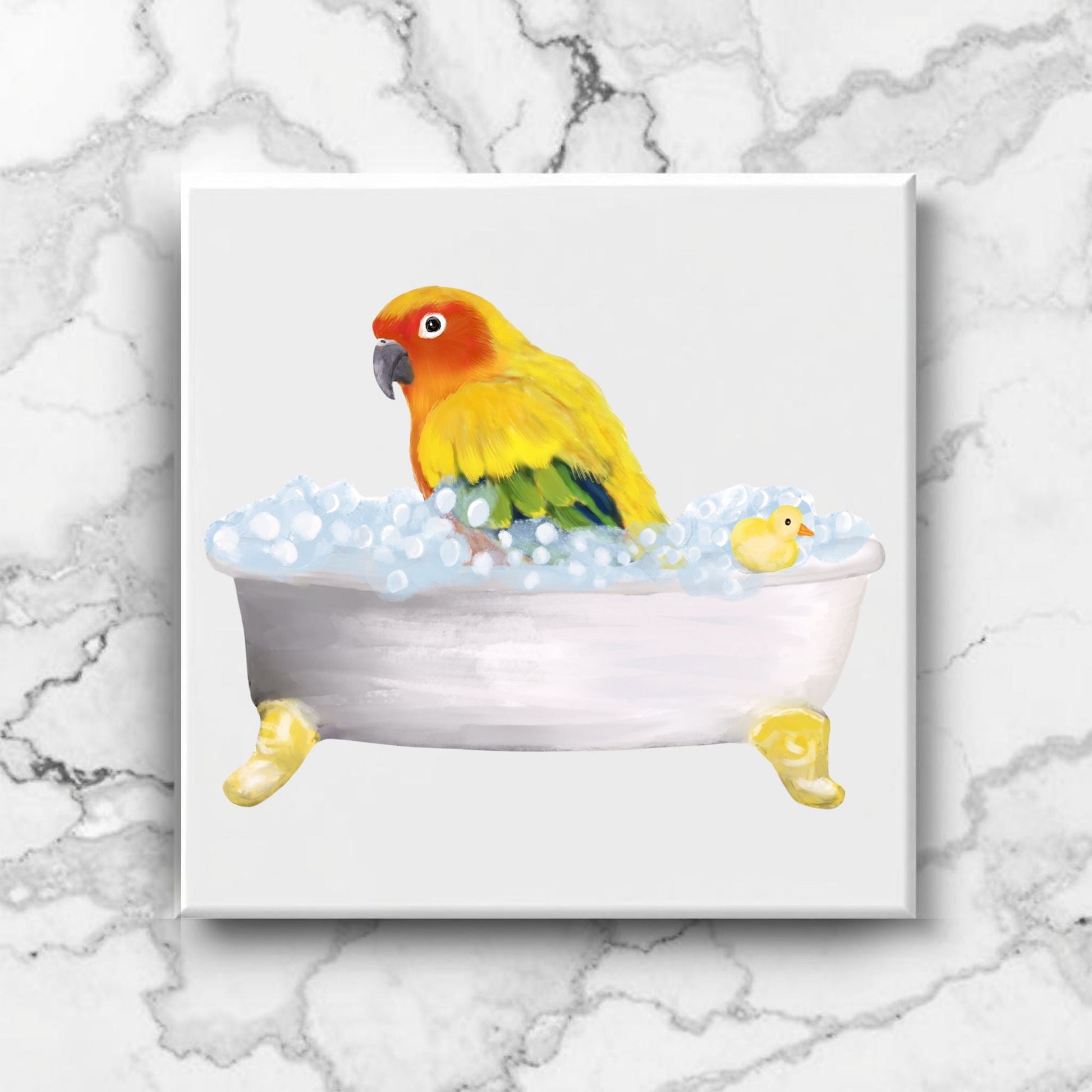 Sun Conure in Bathtub Ceramic Tile – Handcrafted Whimsical Bird Art Decor - MerikaArt