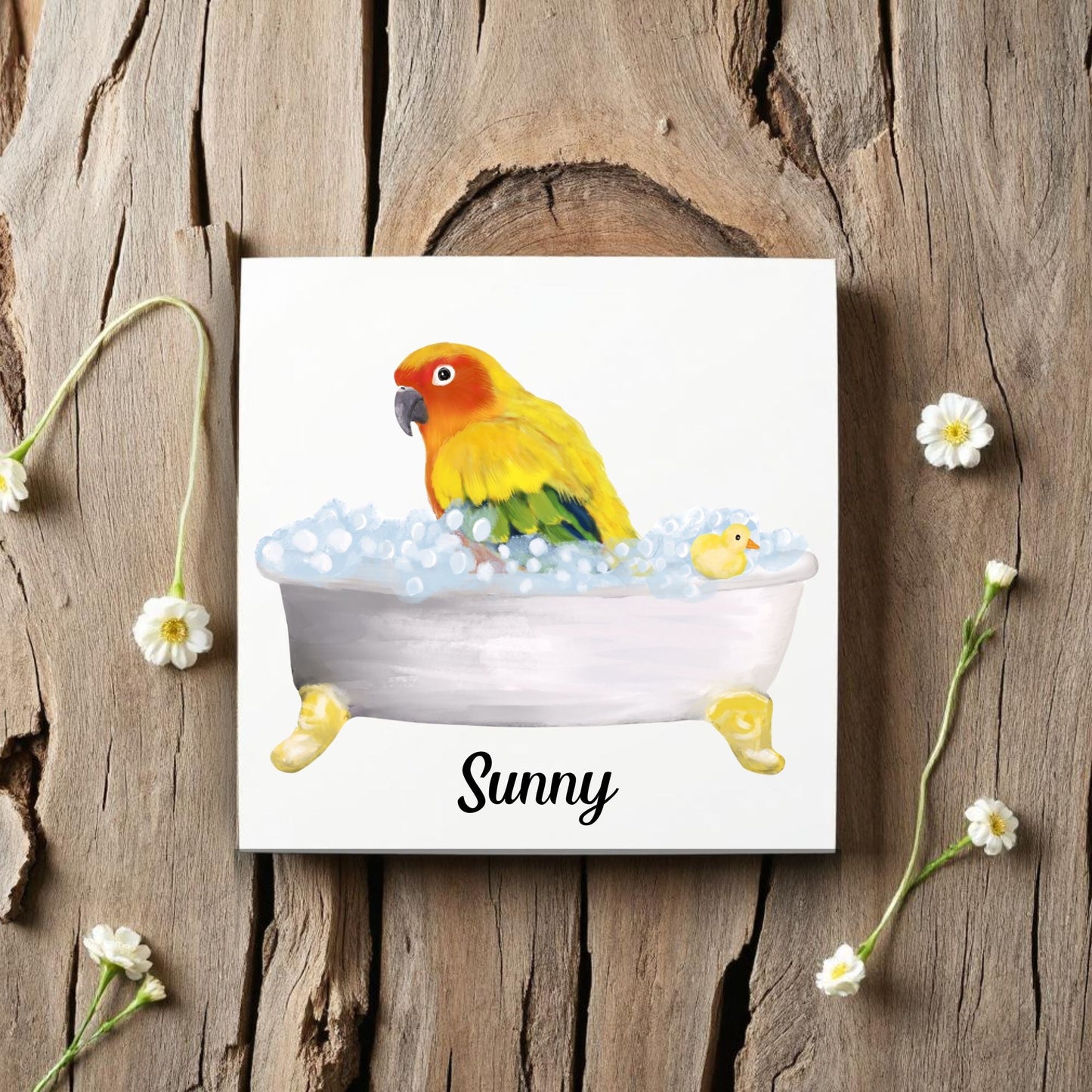 Sun Conure in Bathtub Ceramic Tile – Handcrafted Whimsical Bird Art Decor - MerikaArt