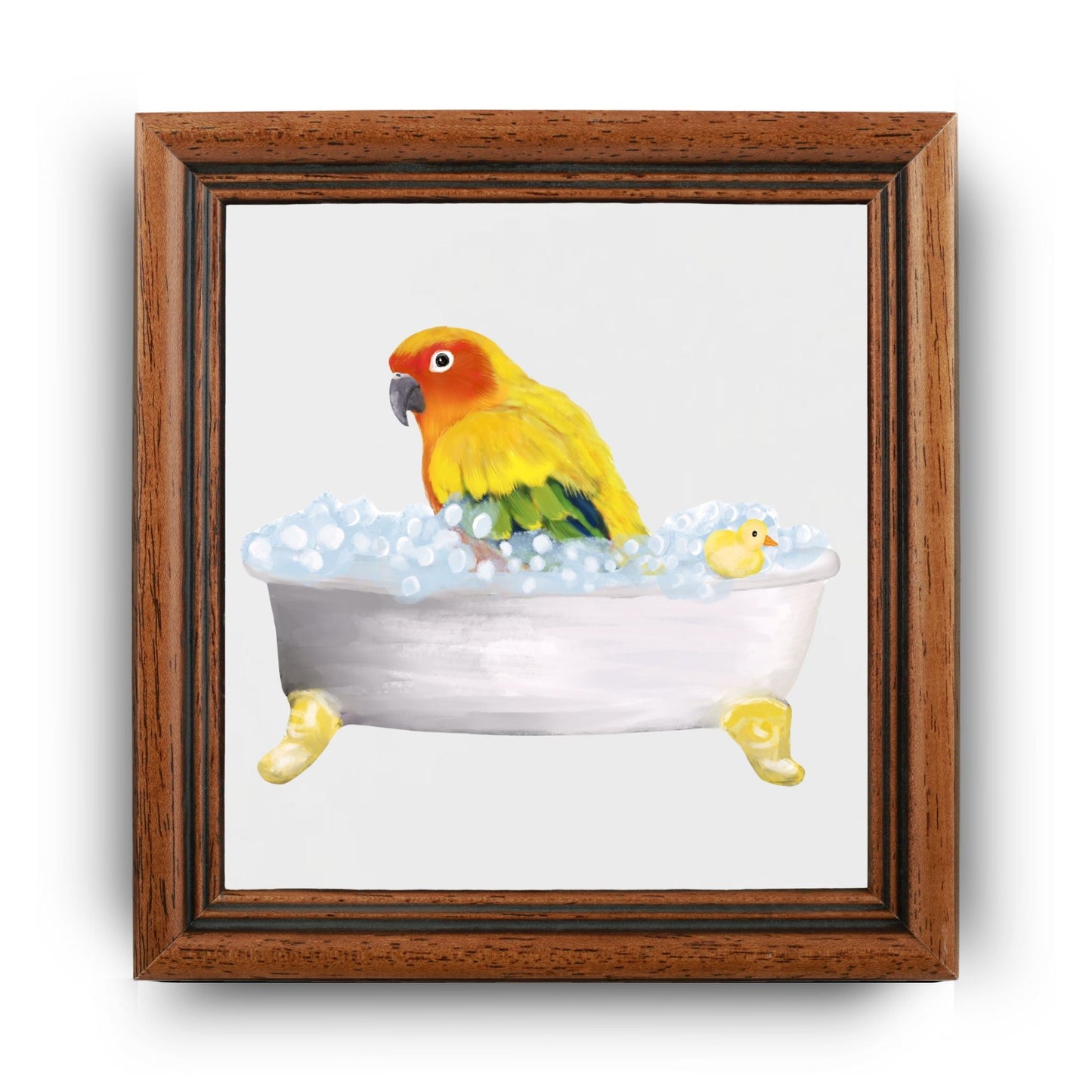 Sun Conure in Bathtub Ceramic Tile – Handcrafted Whimsical Bird Art Decor - MerikaArt