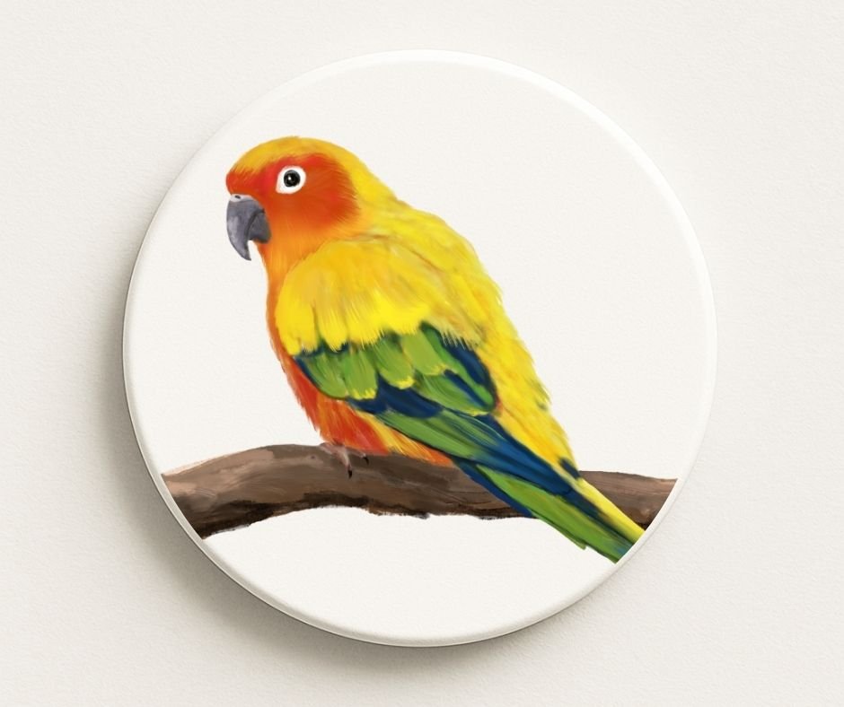 Sun Conure Parrot Ceramic Coaster - MerikaArt