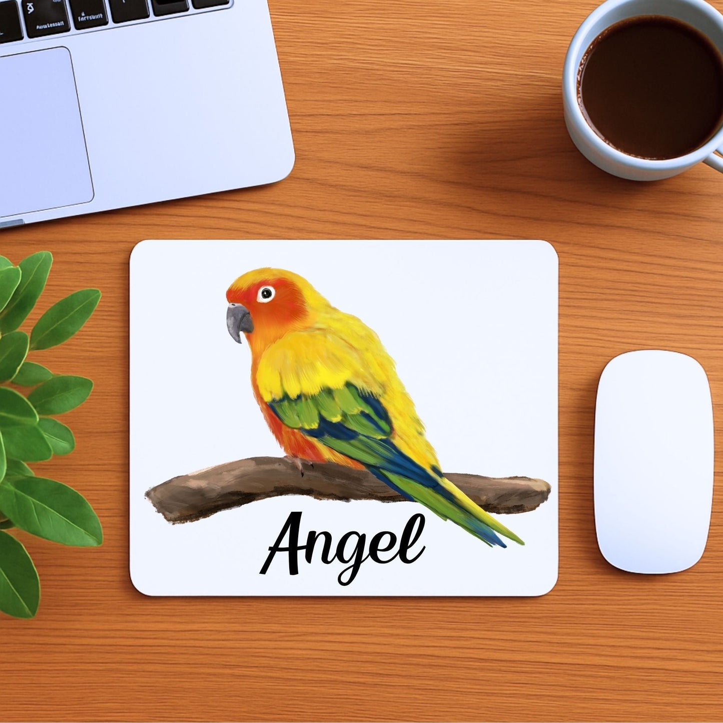 Sun Conure Parrot Mousepad - MerikaArt