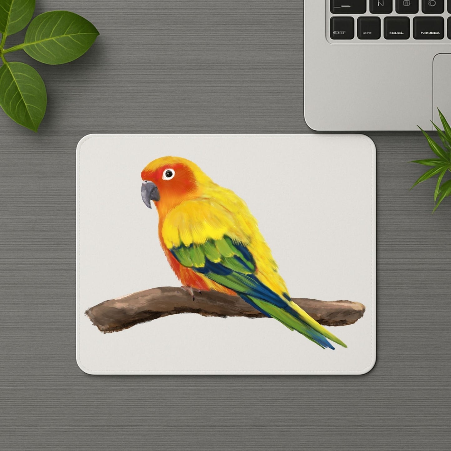 Sun Conure Parrot Mousepad - MerikaArt