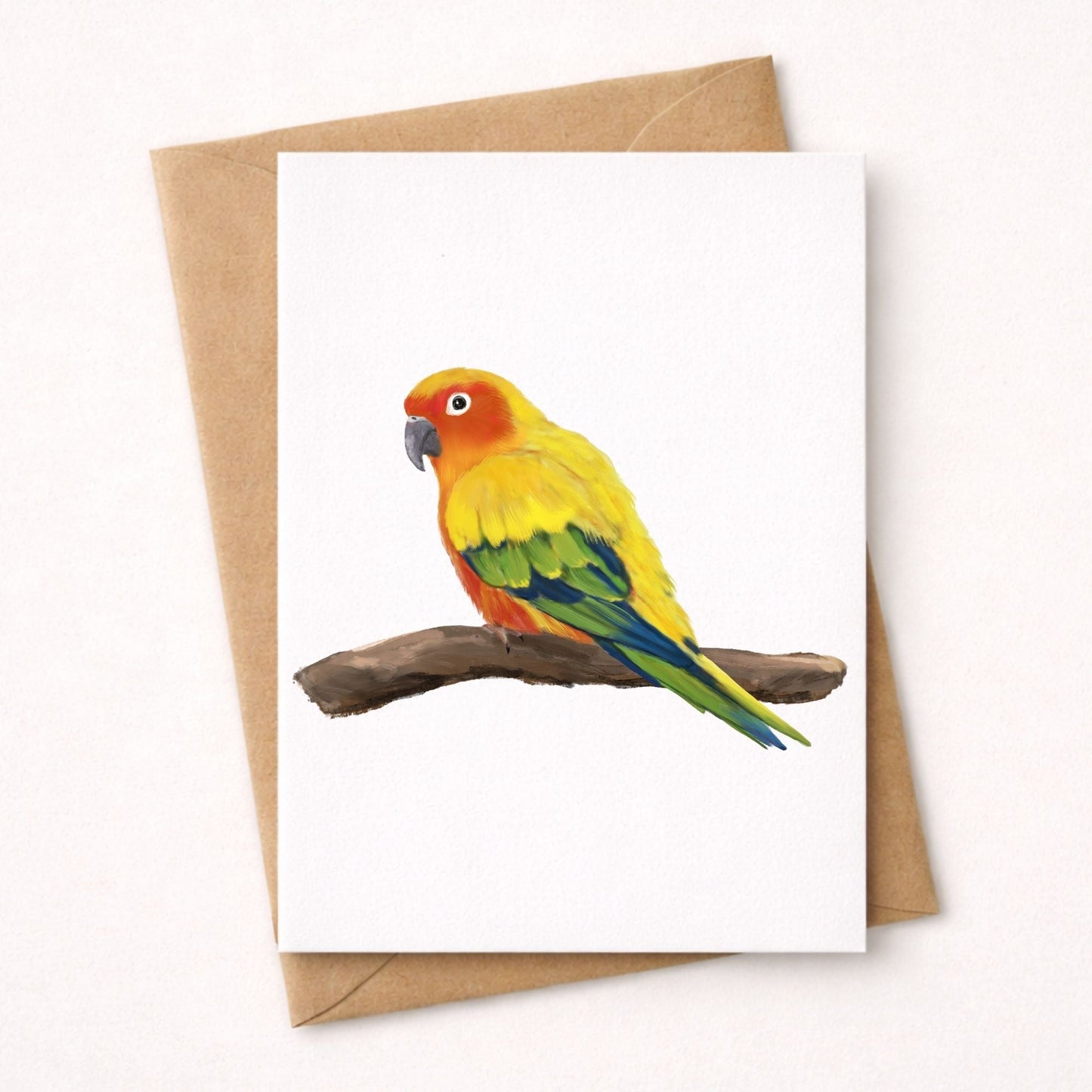 Sun Conure Postcard - MerikaArt