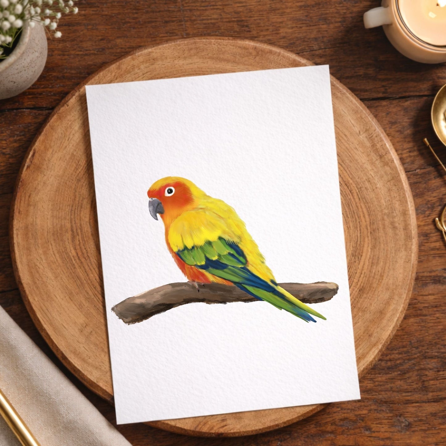 Sun Conure Postcard - MerikaArt