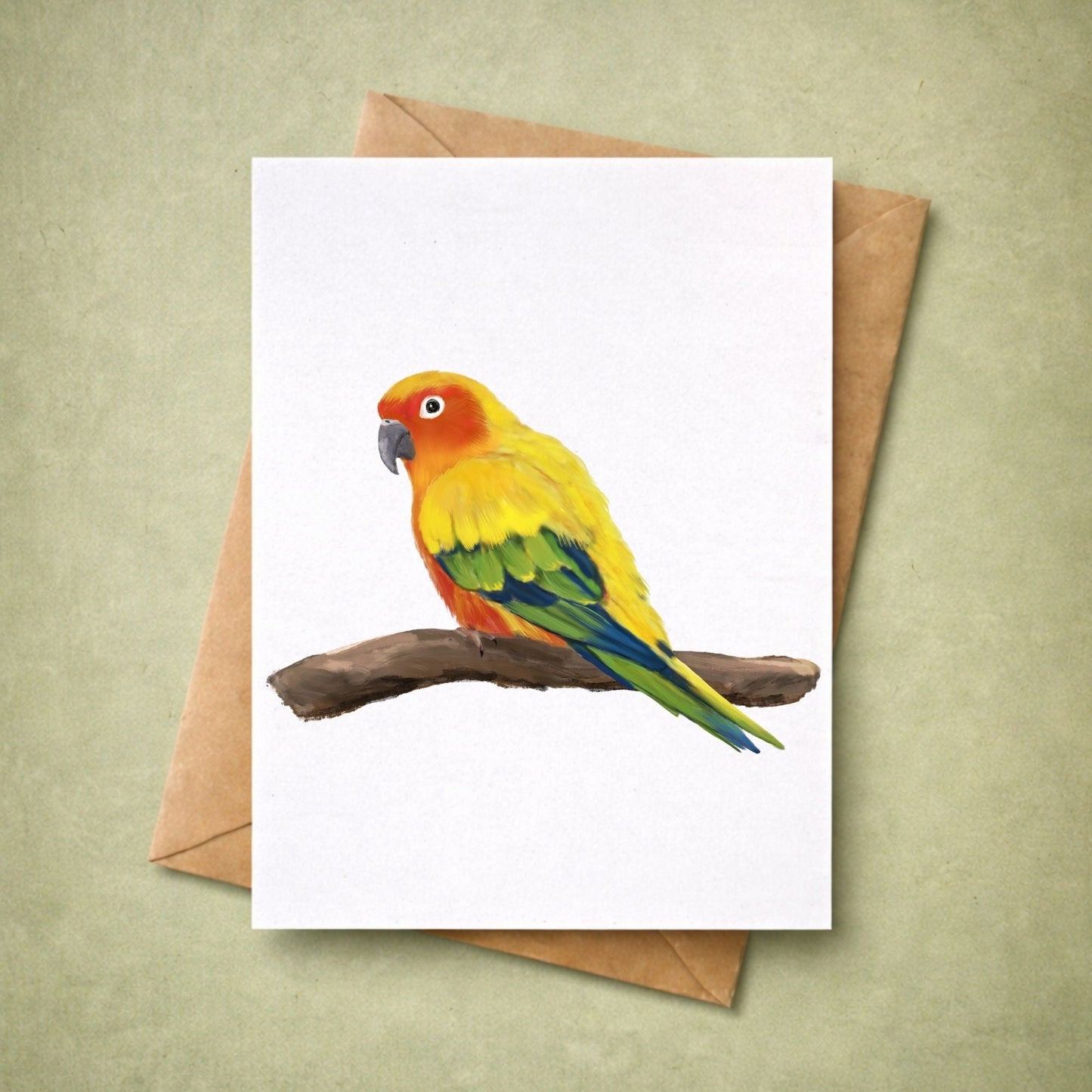 Sun Conure Postcard - MerikaArt