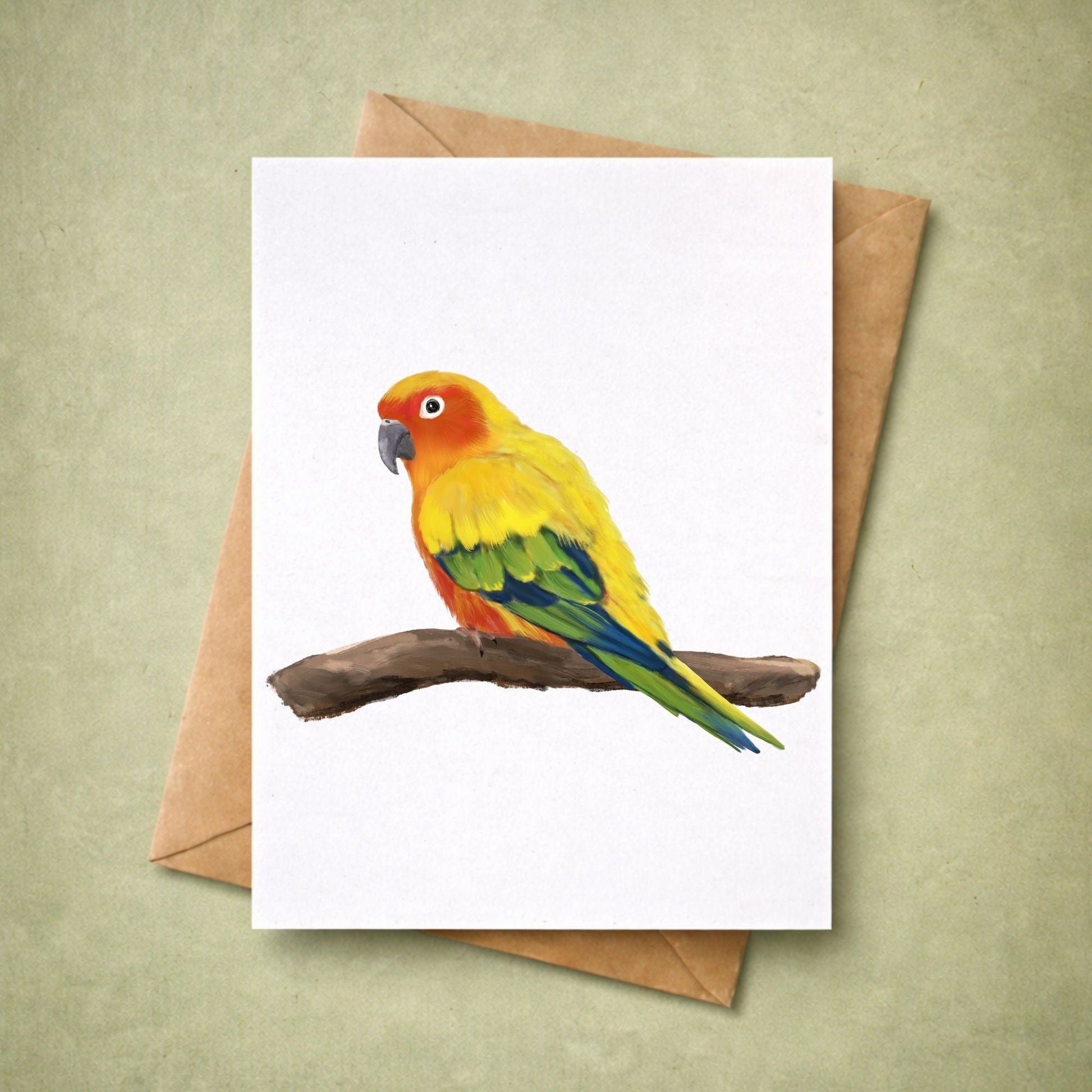 Sun Conure Postcard - MerikaArt