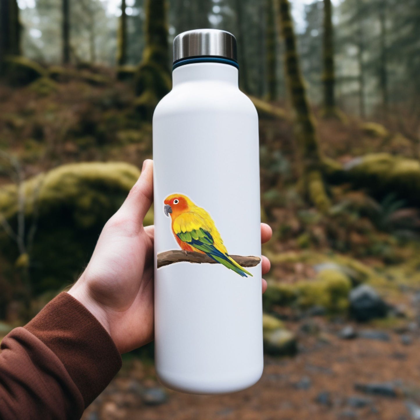 Sun Conure Vinyl Sticker - MerikaArt