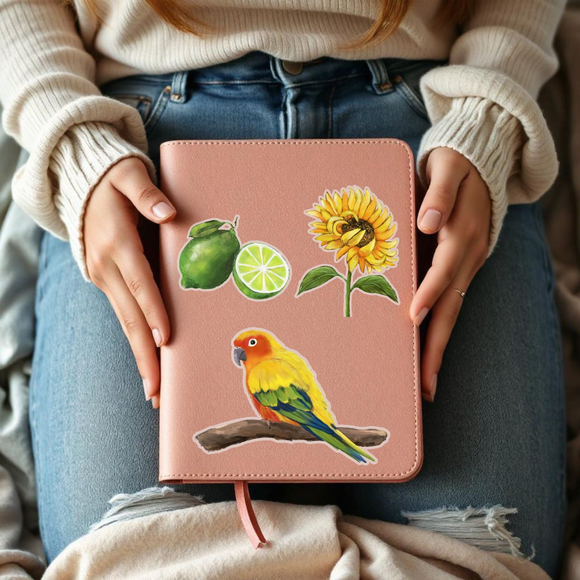 Sun Conure Vinyl Sticker - MerikaArt