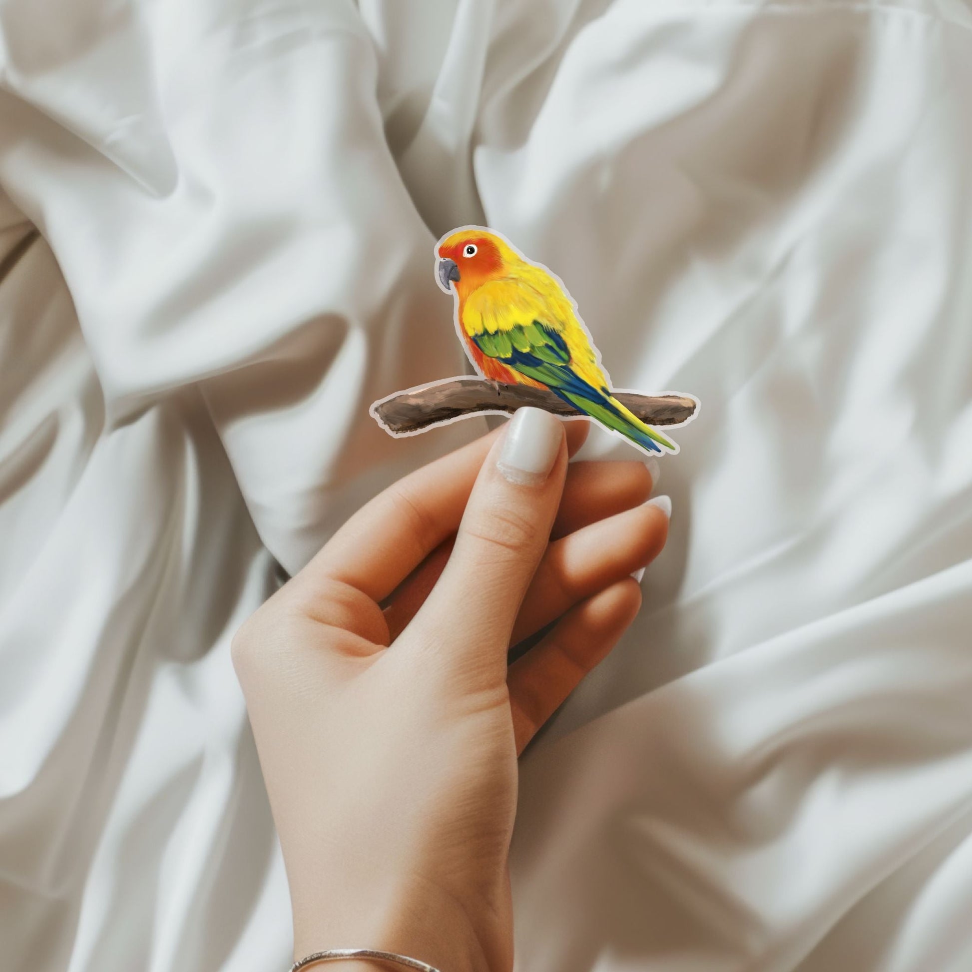 Sun Conure Vinyl Sticker - MerikaArt