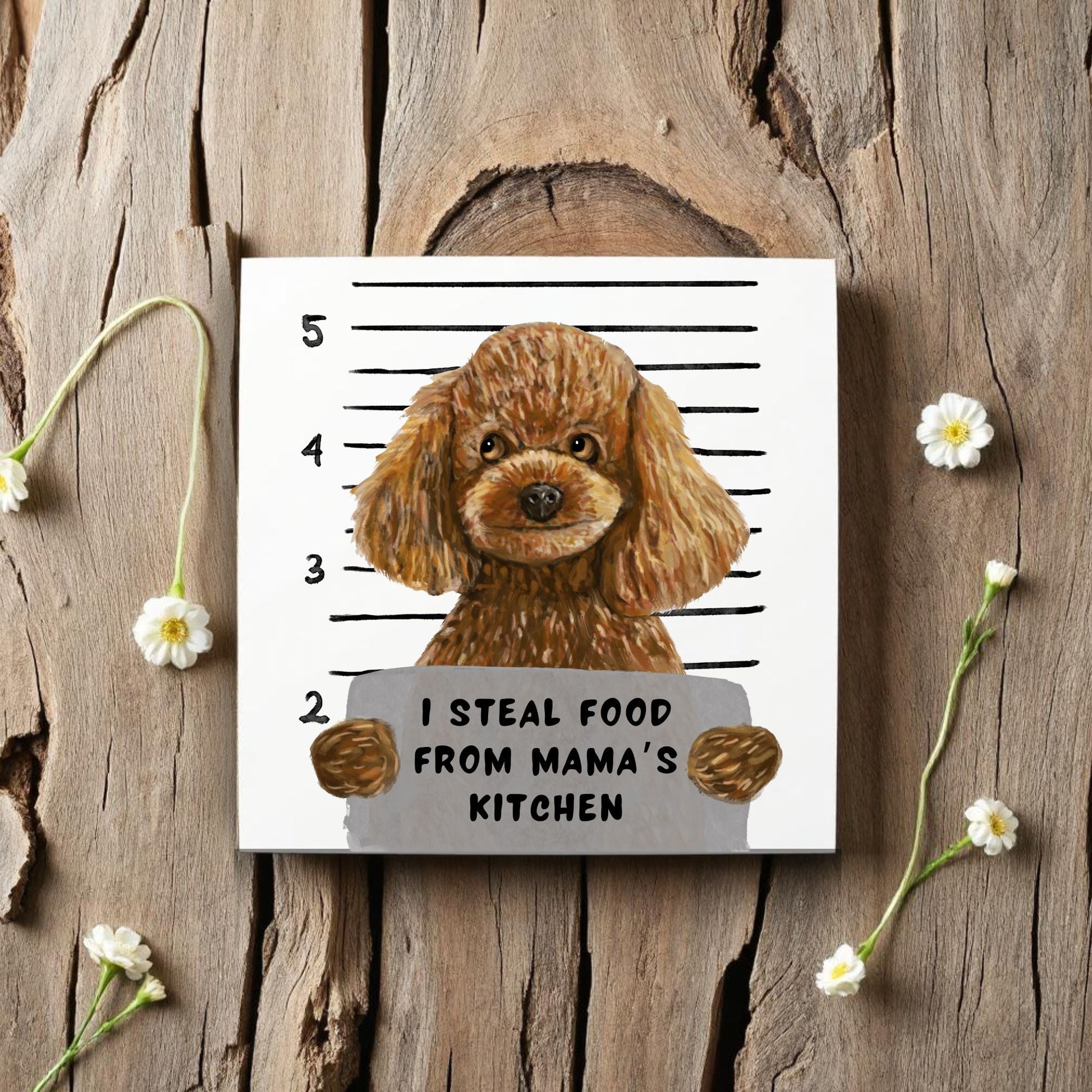 Toy Poodle Mugshot Ceramic Tile - MerikaArt