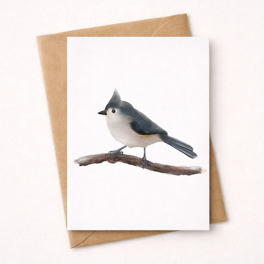Tufted Titmouse Postcard - MerikaArt