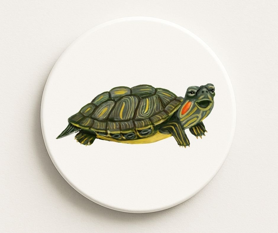 Turtle Ceramic Coaster - MerikaArt
