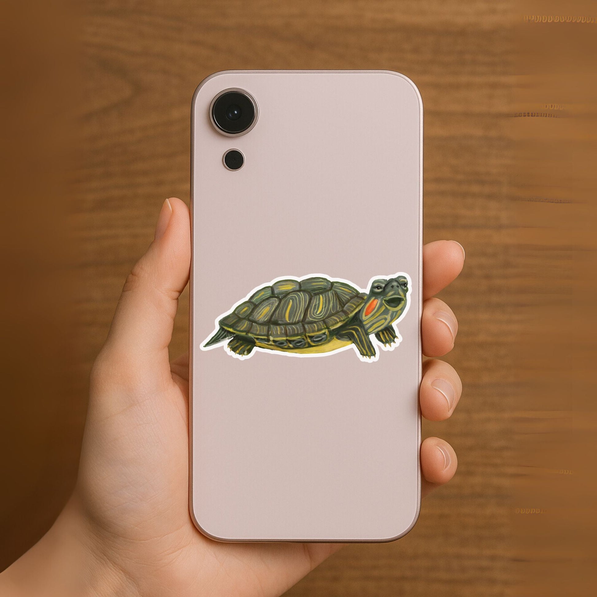 Turtle Sticker - MerikaArt