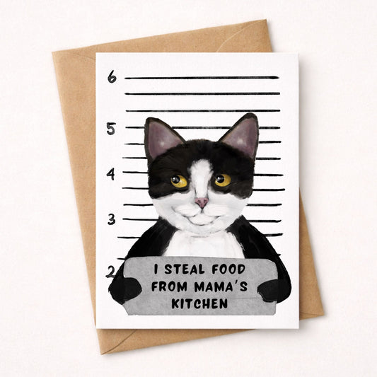 Tuxedo Cat Mugshot Postcard - MerikaArt
